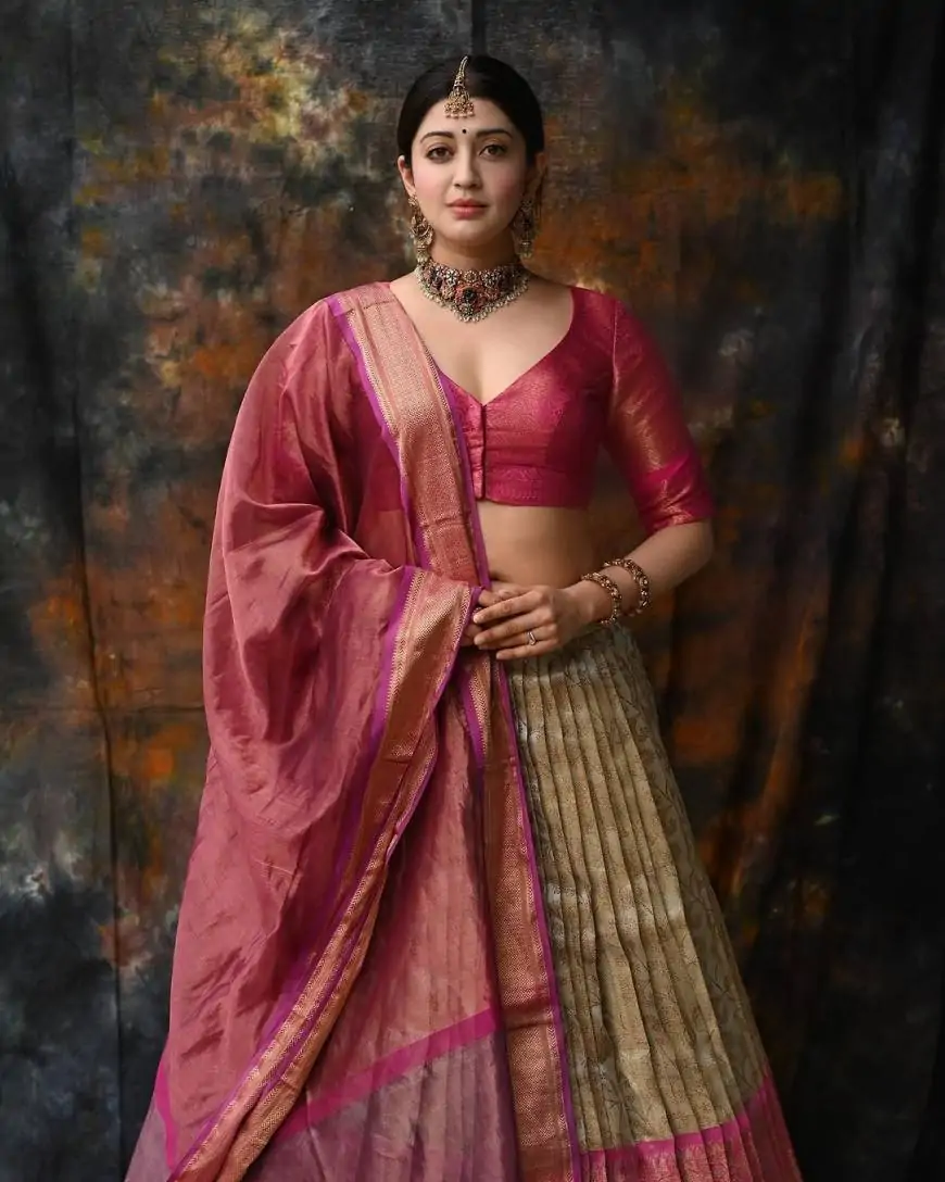 Pranitha Subhash Wiki Biography: Actress | Model | South Indian Star