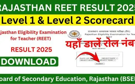 REET Result, Level 1, Level 2 2025: How to Download Scorecard from reet2024.co.in