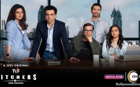 TVF Pitchers Season 2 Web Series Watch Online