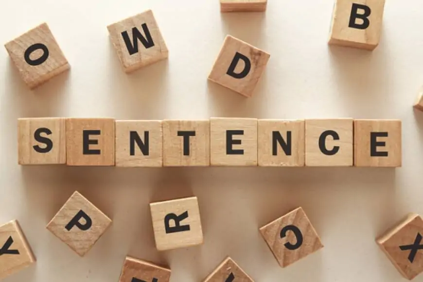 Daily use sentences (रोज बोले जाने वाले वाक्य)