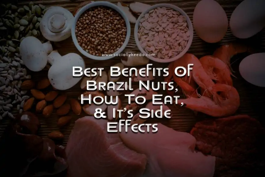 Best Benefits Of Brazil Nuts, How To Eat, & It’s Side Effects