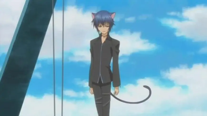 4- Ikuto Tsukiyomi From Shugo Chara