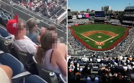 FULL VIDEO: Phillies fans seemingly caught on video in Yankee Stadium masturbating video