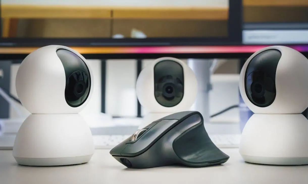 Understanding User Preferences in Adult Webcam Entertainment