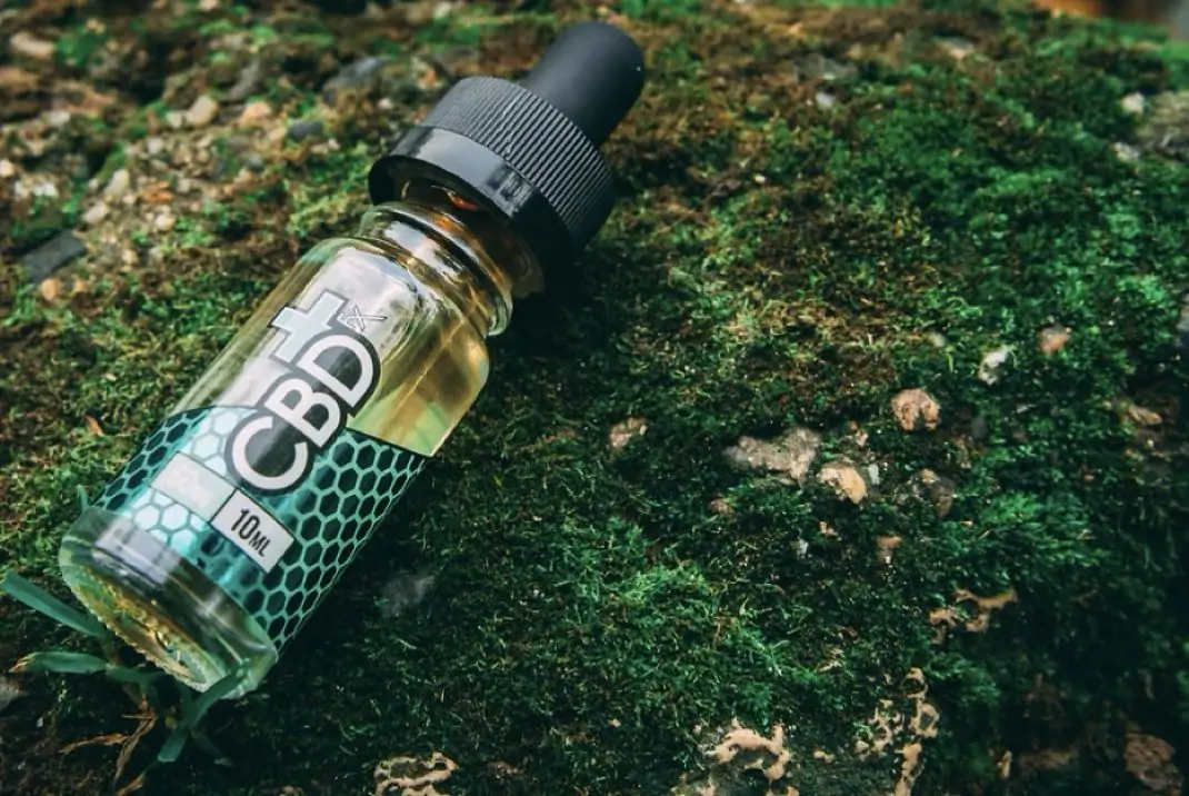 All You Need to Know About CBD