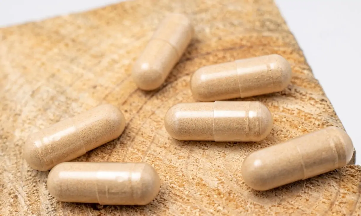 Glutamine – Recovery Support and Protection Against Oxidative Stress