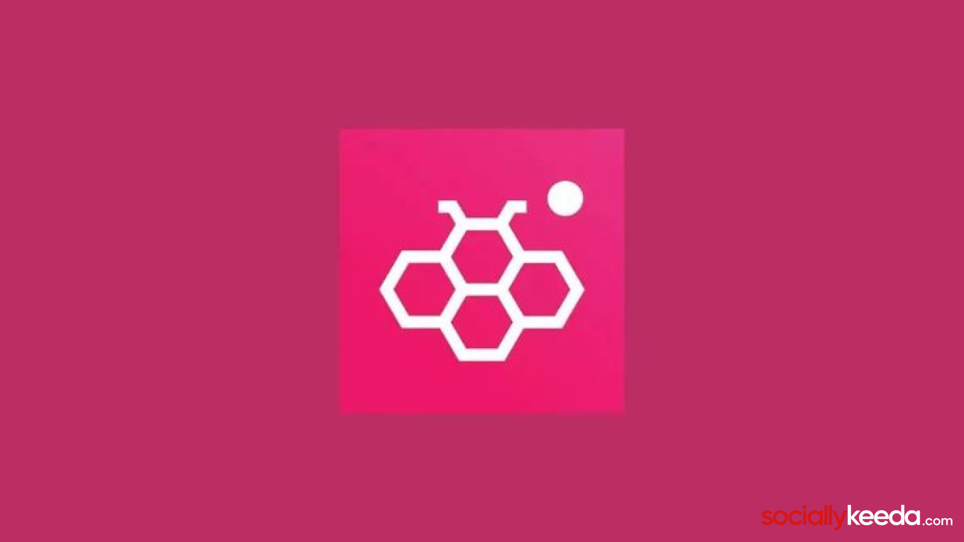 Honista APK Download