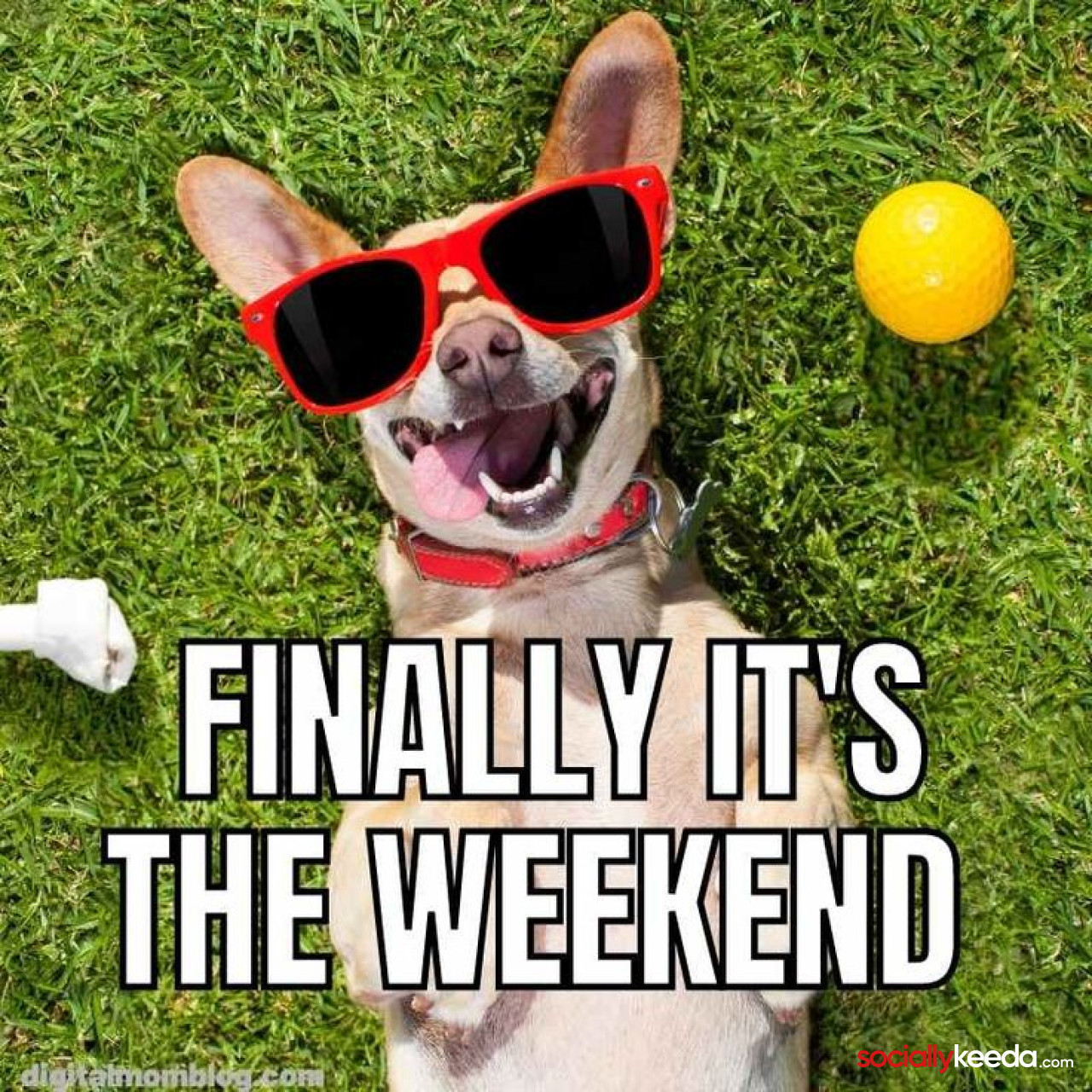 Weekend Memes - Funny Weekend Pictures and Images