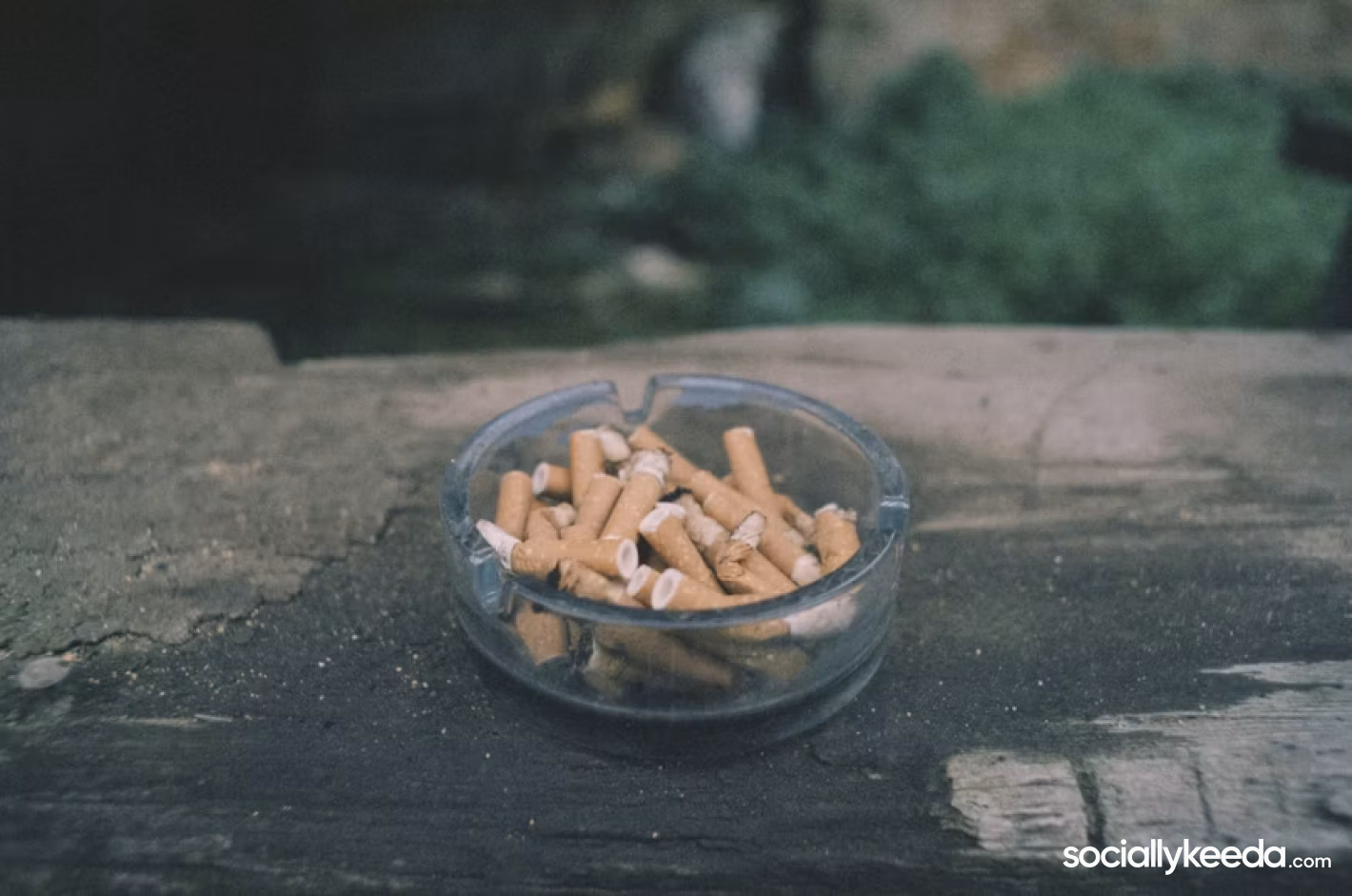 Why More Adult Smokers Are Comparing Tobacco Prices Before Buying