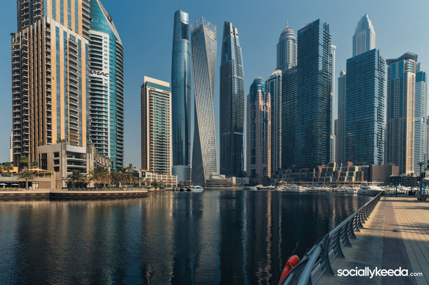 What Should You Look For When Choosing a Longevity Summit In Dubai?