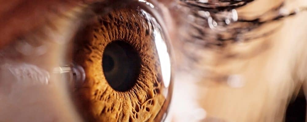 Eye Health - Scoaillykeeda.com