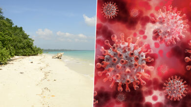 Andaman Beach - scoaillykeeda.com