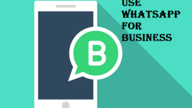 How To Use WhatsApp For Business Best Tips - scoaillykeeda.com