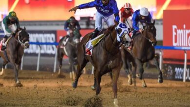 Mystic Guide Dubai World Cup Winner 17874Bed59A Medium - Scoaillykeeda.com