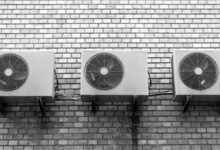 Wall 1801952 1920 2 - Scoaillykeeda.com