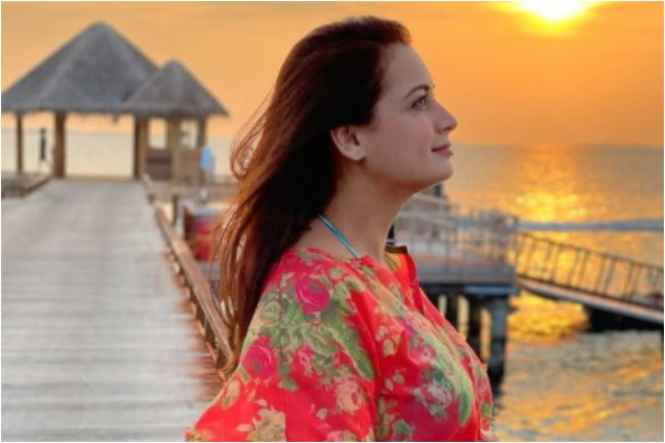 Dia Mirza Replies To Troll, Says ‘We Didn’t Marry Because We Were Having A Baby’