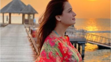 1617706386 1617284780 Dia Mirza 3 - Scoaillykeeda.com