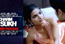 Charamsukh Meri Padosan Full Episodes Download Filmyzilla Moviesflix - Scoaillykeeda.com