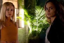 How To Watch Queen Of The South Season 5 Online For Free - Scoaillykeeda.com