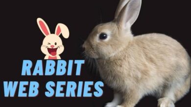 Rabbit All Web Series Download Hindi Filmyzilla Moviesflix - Scoaillykeeda.com