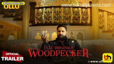 Woodpecker Part 1 - Scoaillykeeda.com