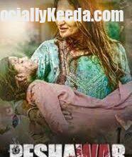 Download 6 1 - Scoaillykeeda.com