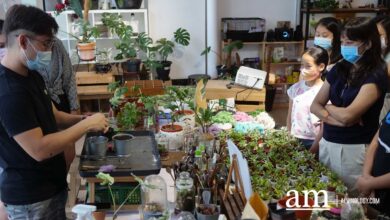 Getyr J2 Terrarium 12 - Scoaillykeeda.com