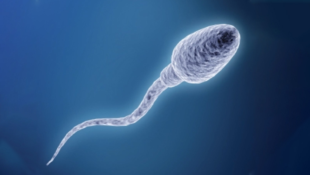Fitness of Sperms: स्पर्म क्वालिटी बढ़ाने के लिए क्या करें और क्या नहीं? यहां पढ़ें पूरी जानकारी