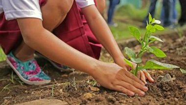 World Environment Day 2021: पर्यावरण की सुरक्षा के लिए आइये जल संरक्षण एवं वृक्षारोपण का संकल्प लें! World Environment Day 2021: पर्यावरण की सुरक्षा के लिए आइये जल संरक्षण एवं वृक्षारोपण का संकल्प लें!