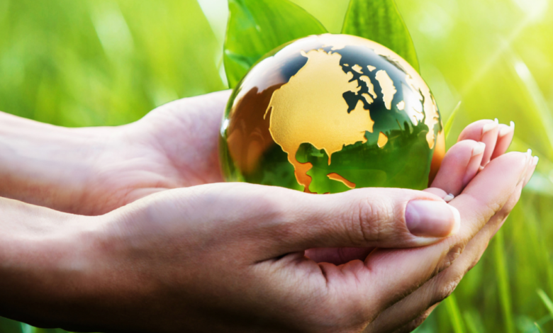 World Environment Day 2021 Date, Theme, Poster, Quotes, and Messages