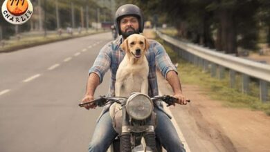 777 Charlie Movie Trailer - Scoaillykeeda.com