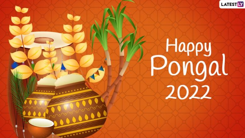 7 Pongal Greetings 784x441 7 Pongal Greetings 784x441 - scoailly keeda