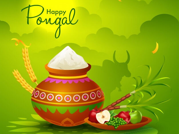 Happy Pongal Whatsapp Status Video.jpgnocache1 Happy Pongal Whatsapp Status Video.jpgnocache1 - scoailly keeda