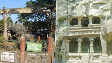 National Tourism Day 2022: From Kaziranga National Park In Assam To Ajanta And Ellora Caves In Maharashtra, Visit The Vast Heritage Of India