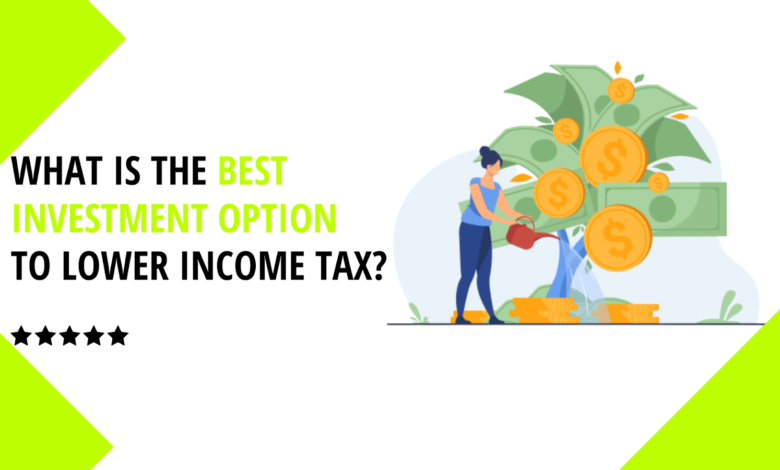 What is the best investment option to lower income tax What is the best investment option to lower income tax?