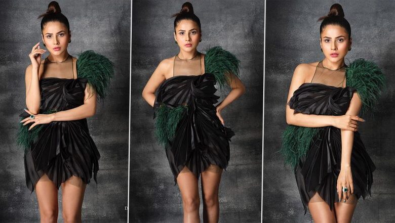 merge 7 3 784x441 Shehnaaz Gill Exudes Perfection in a Short Black Dress As She Poses for Dabboo Ratnani Again (View Pics)