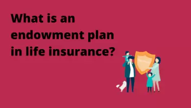What Is An Endowment Plan In Life Insurance - Scoaillykeeda.com