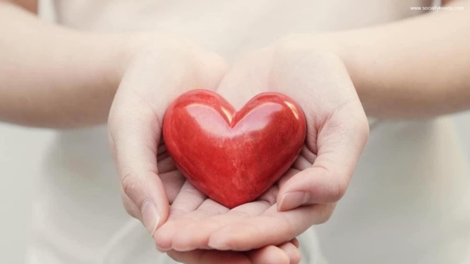 heart thumb 1644327703098 1644327743159 - sociallykeeda Heart Thumb 1644327703098 1644327743159 - Scoaillykeeda.com